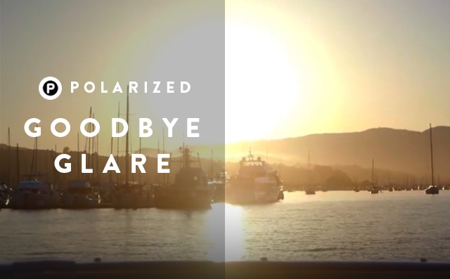 Goodbye Glare - Polarized - Sunglass Hut Hong Kong
